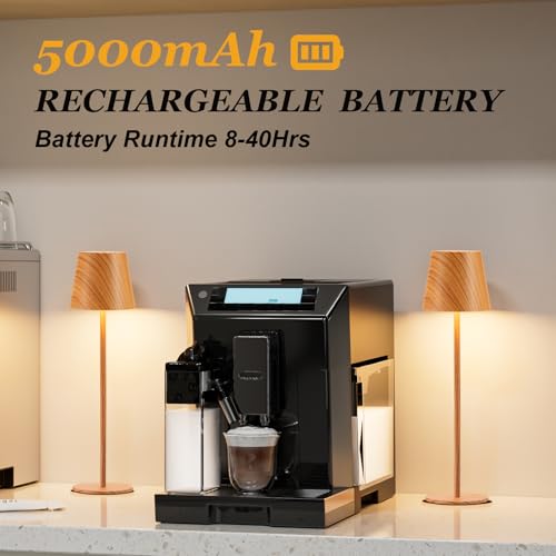 Wood Grain Cordless Table Lamp Rechargeable