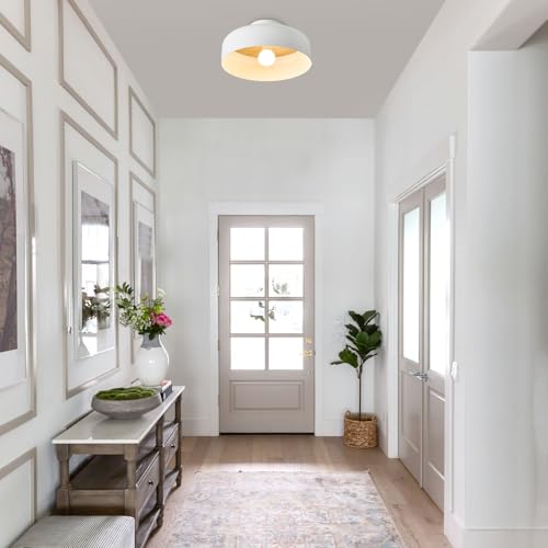 Semi Flush Mount Ceiling Light