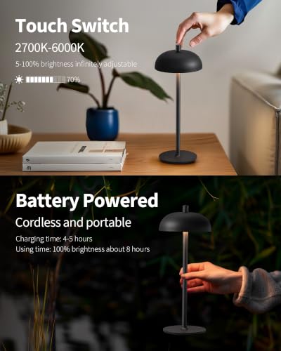 12" Cordless Table Lamps Set of 2 (2 Count)