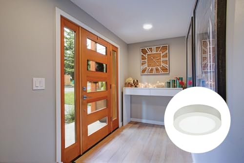 Slim Basics 4 Inch LED Ceiling Light