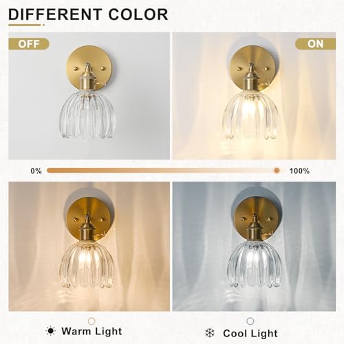 Hardwired Wall Sconce Light
