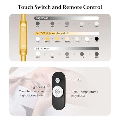 Lash Light with Tool Tray