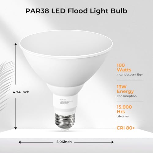 PAR38 Outdoor Flood Light Bulbs (2 Count)
