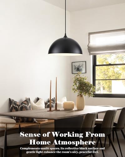 14 Inch Black and White Dome Pendant Light