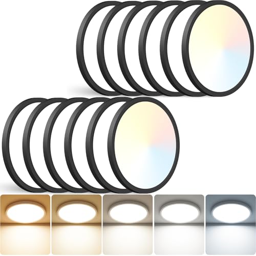 12 inch LED Ceiling Light (12 Count)