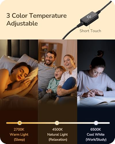 LED Table Lamp