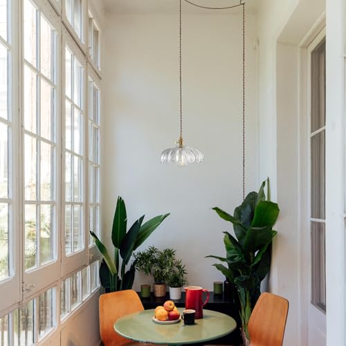Plug in Pendant Light Hanging Lamp