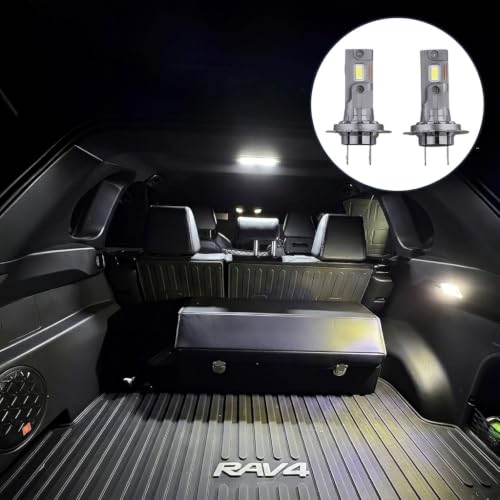 Fog Light Bulbs