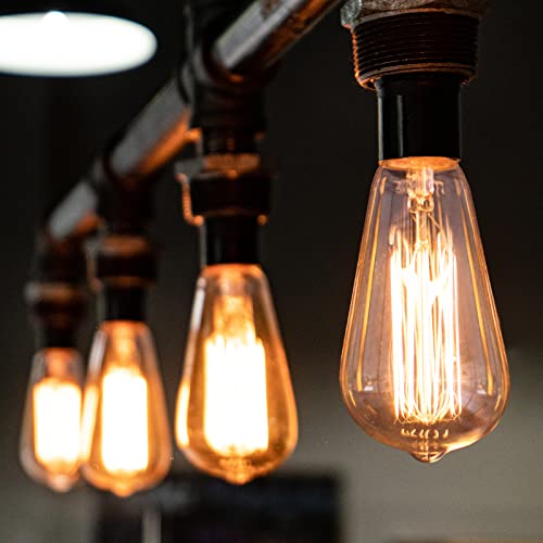 60 Watt Incandescent Edison Light Bulbs (4 Count)