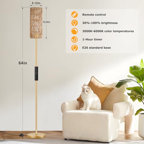 64'' Floor Lamps for Living Room with Remote Control and Stepless Dimmable Colors Temperature & Brightness
