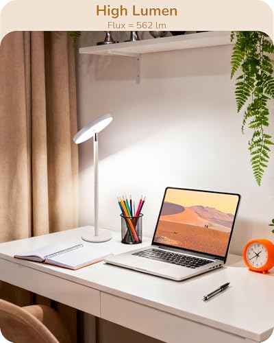 LED Desk Lamp