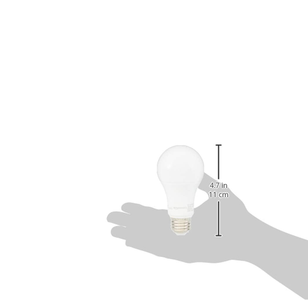 A19 LED Light Bulbs (6 Count)