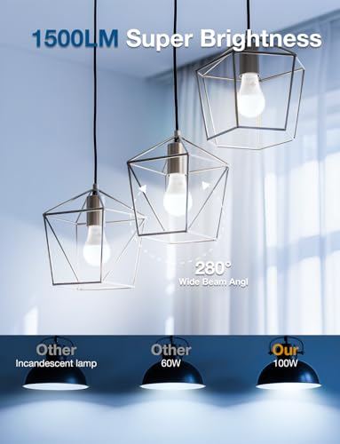LED Light Bulbs (6 Count)