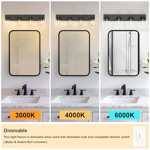 Bathroom Vanity Light Fixture (4 Count)