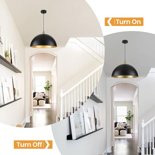20 Inch Black Pendant Light Fixtures (2 Count)