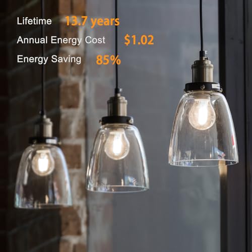 A19 LED Edison Light Bulb (12 Count)