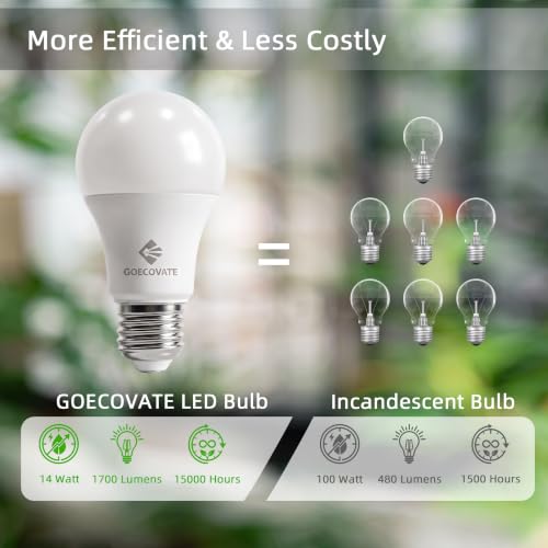 100W Equivalent A19 LED Light Bulbs Daylight (6 Count)