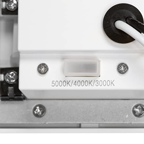 Horizontal LED Step Light (2 Count)