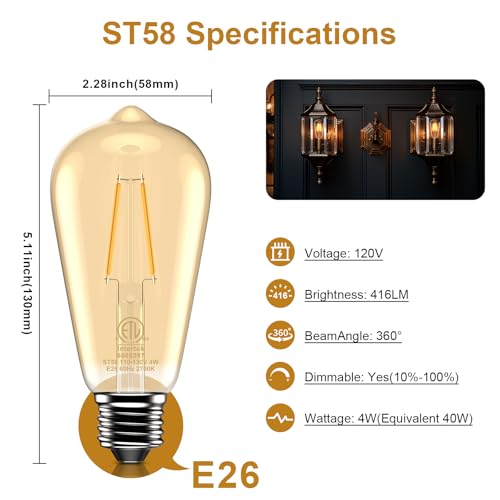 Edison Bulb ST58