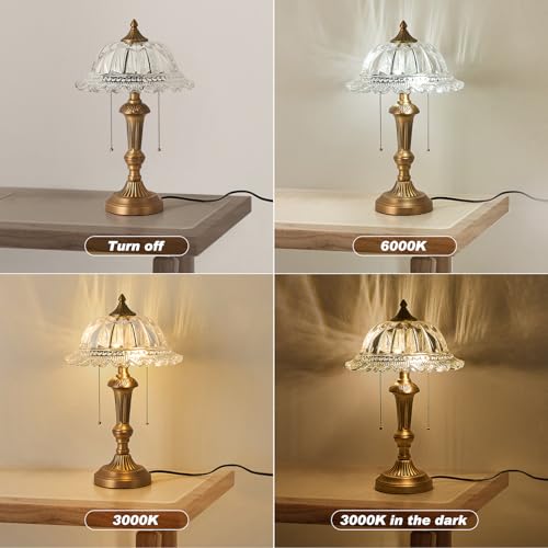 Glass Shade Table Lamp Vintage Brass Metal Desk Lamp 2 Lights Table Light with Plug Switch for Bedroom Living Room Home Office