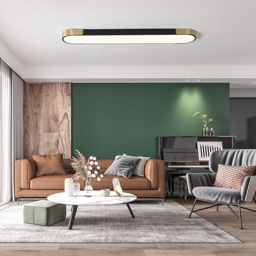 4FT LED Light Fixture 60W Dimmable Led Ceiling Light Black and Gold Flush Mount Ceiling Light Modern Light Fixtures Ceiling for Kitchen Closet Garage Office Hallway