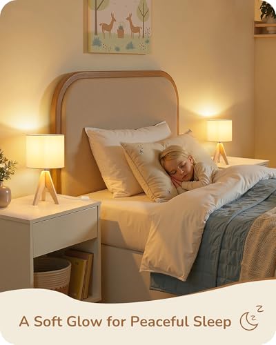 Small Cute Table Lamp