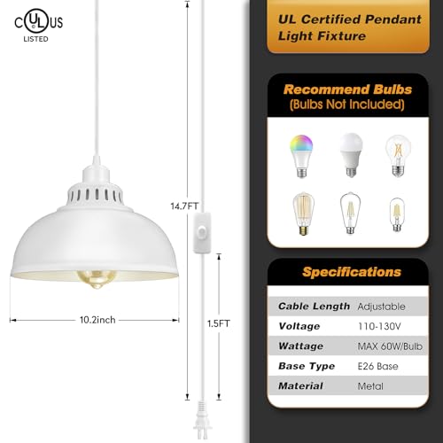 Plug in Pendant Light