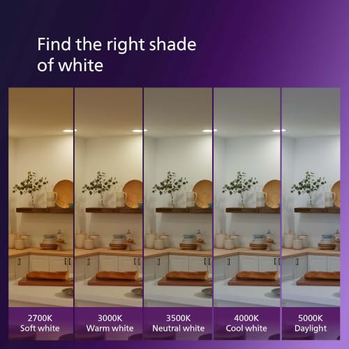 60W A19 8 Pack Ultra Definition Daylight (8 Count)