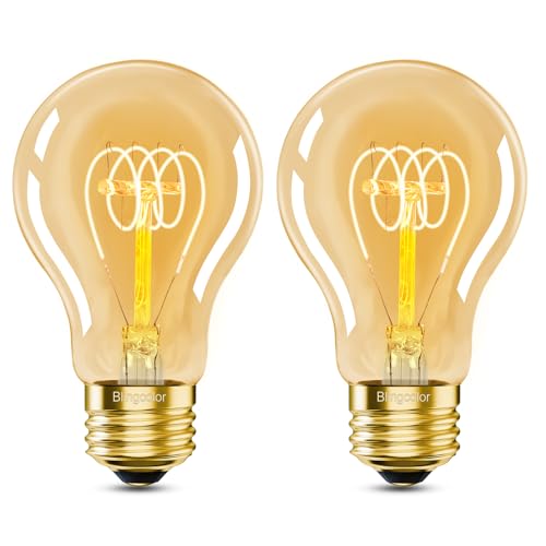 E26 Dimmable A19 Vintage 6W LED Edison Light Bulbs 60 Watt Equivalent (2 Count)