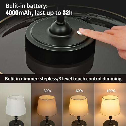Small Cordless Lamp Dimmable