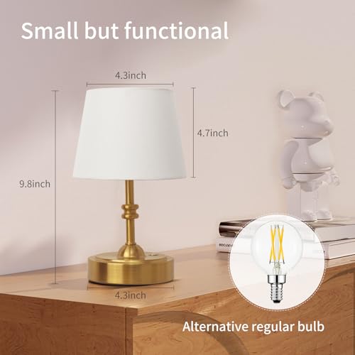 Small Cordless Lamp Dimmable