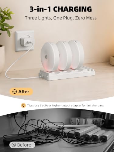 Under Cabinet Lighting with Charging Station (3 Count)