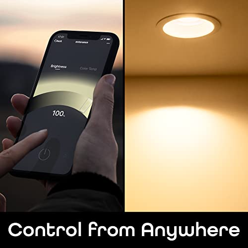 LUX Drop Wi Fi LED Light Bulb