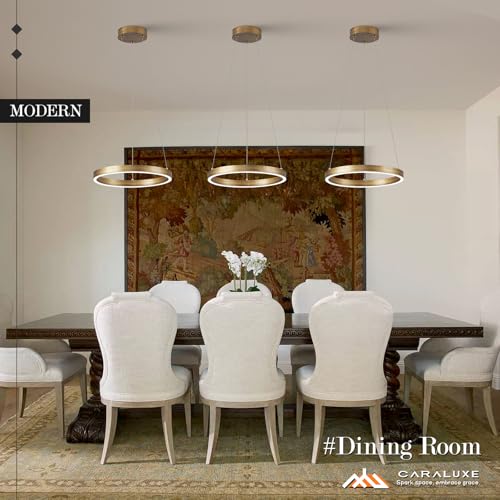 12in LED Ring Chandelier Brass Gold Modern Dimmable Pendant Light