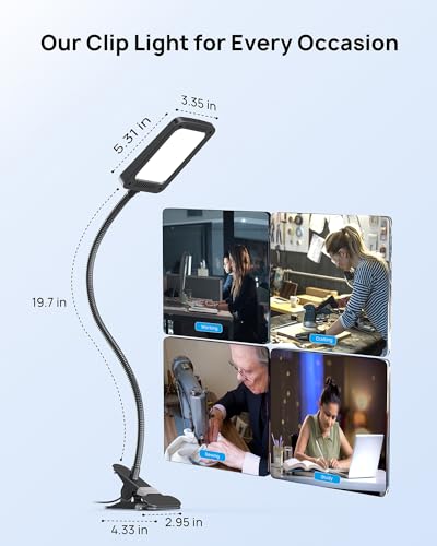 LED Desk Lamp with Clamp