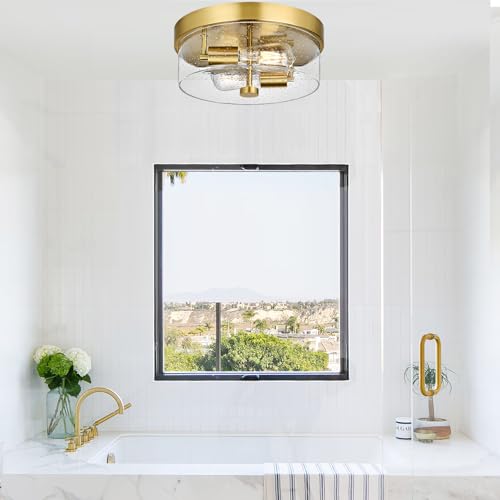 Flush Mount Ceiling Light Fixtures