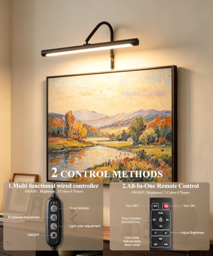 Plug in Picture Light for Wall (Black / 16 Inch)