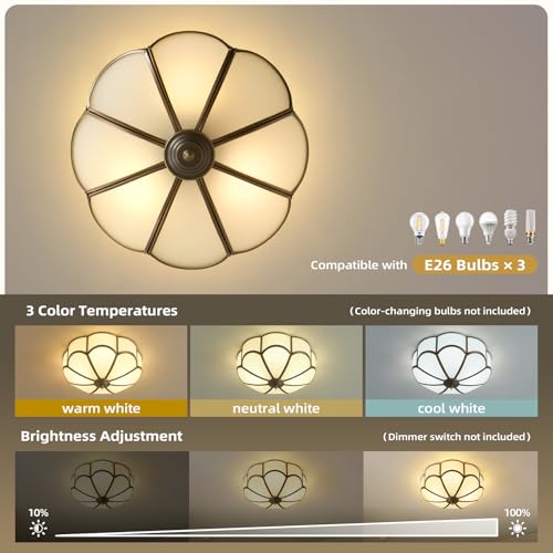 Vintage Black Bronze Ceiling Light