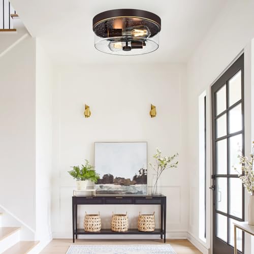Flush Mount Ceiling Light Fixtures