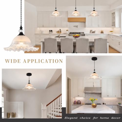 1 Pack Vintage Matte Black Crystal Transparent Glass Pendant Light Fixtures (Black / 1-Light)