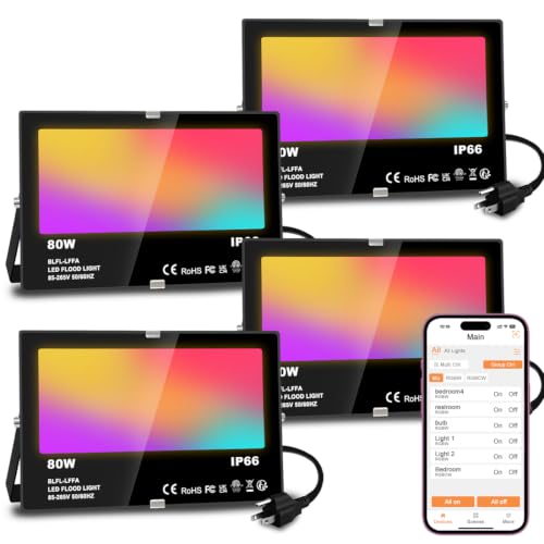 LED Flood Light Outdoor 80W (4 Count)