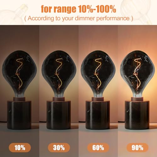 A165 Large LED Edison Light Bulbs Dimmable 5W 200lm E26 2200K 1PC