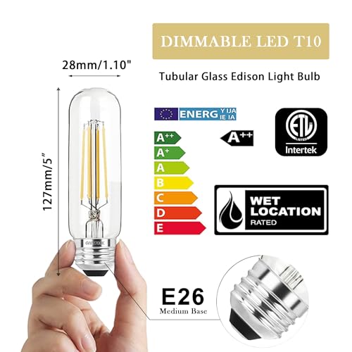 5 Inch Edison Bulb (4 Count)
