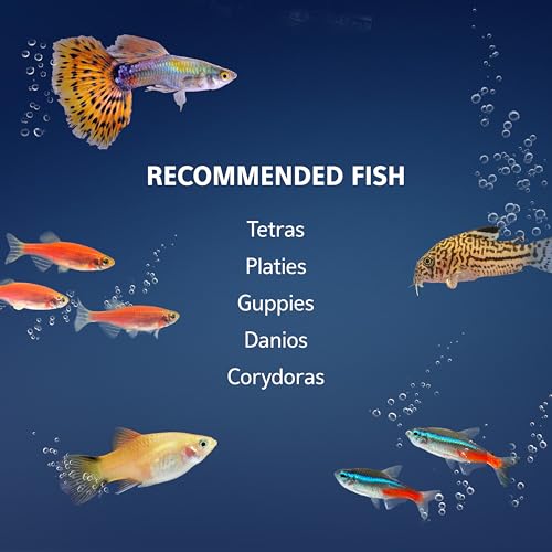 Aquarium Starter Kit with Smart Clean Filtration and LED Lighting