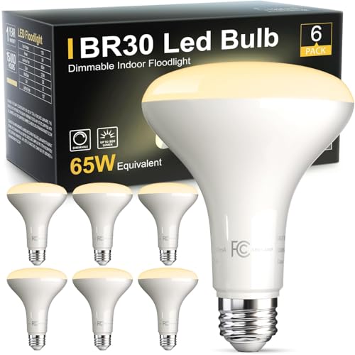 6 Pack BR30 Flood Light Bulb Indoor (6 Count)