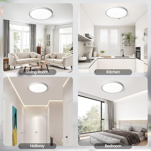 Flush Mount Ceiling Light