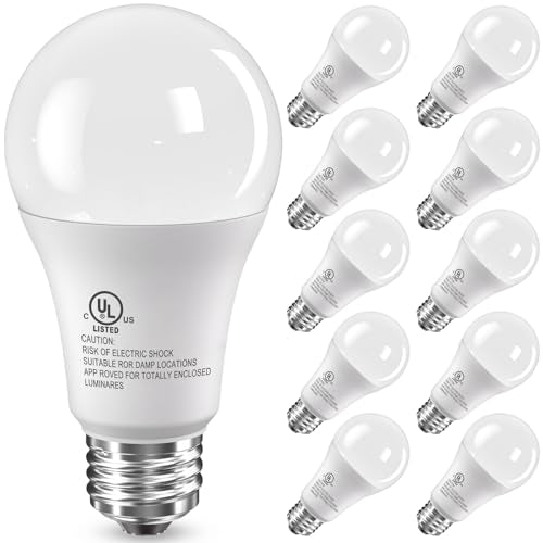 LED Light Bulbs (10 Count)