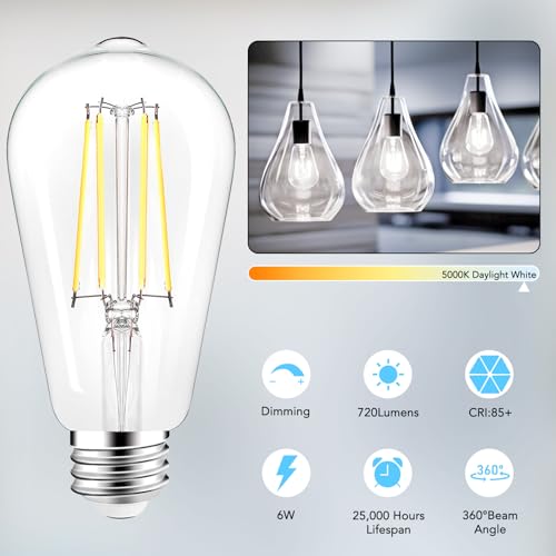 ST58 E26 LED Light Bulbs (4 Count)