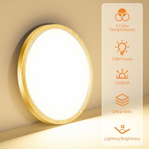 1PACK LED Flush Mount Ceiling Light Fixture
