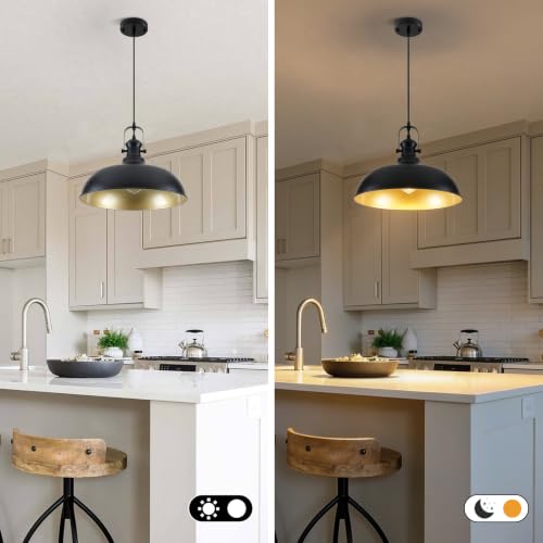 2 Pack 15.7" Matte Black Barn Pendant Lights